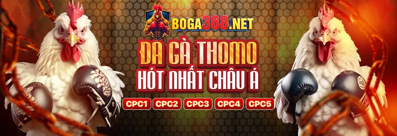 Đá gà trực tuyến y088 win